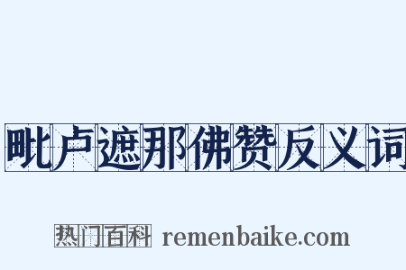 毗卢遮那佛赞反义词是什么意思的图片